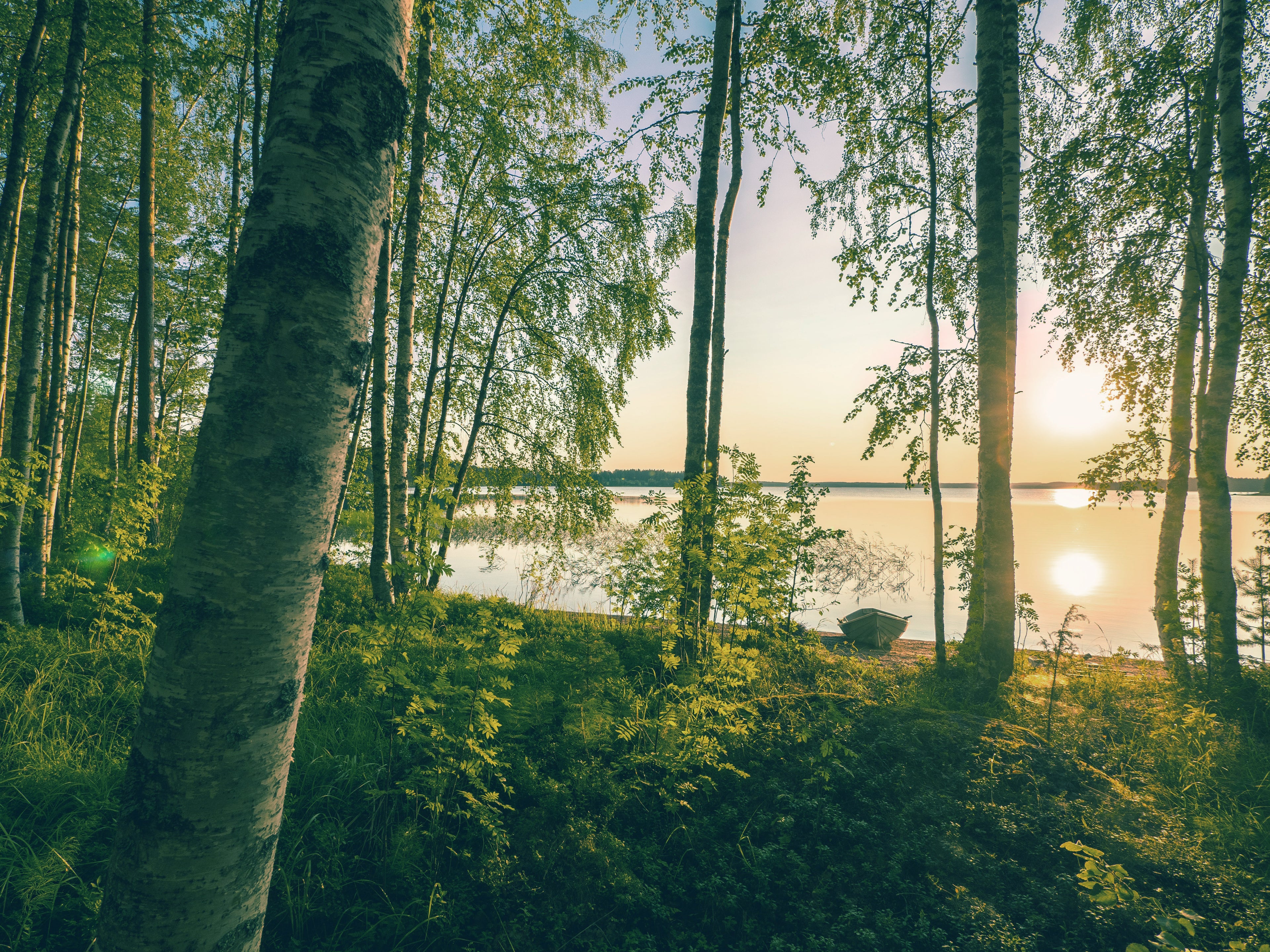tapio-haaja-YwfXOmnfdqs-unsplash_copy - VitaFin Oy