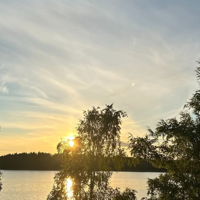 Auringonlasku järven yllä koivujen takaa