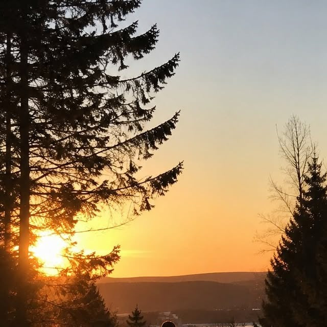 Auringonlasku suomalaisen metsän yllä